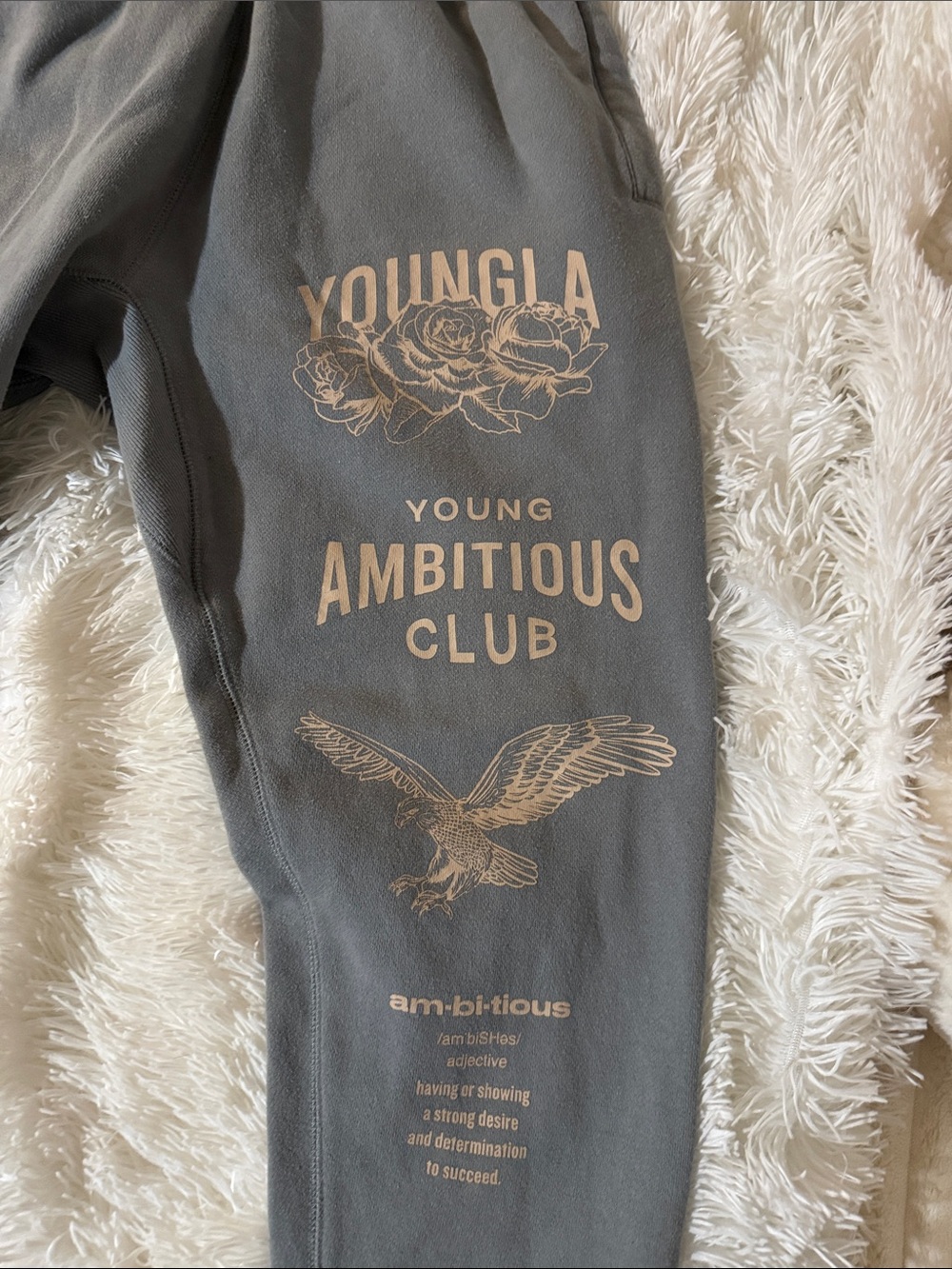 YoungLA Gray Graphic Ambitious Club Joggers - Picture 2 of 3